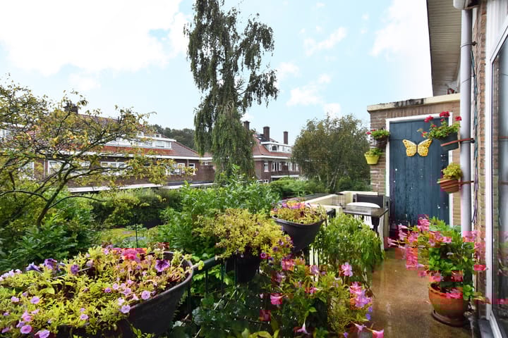 Foto 16 van Ary Schefferstraat 199