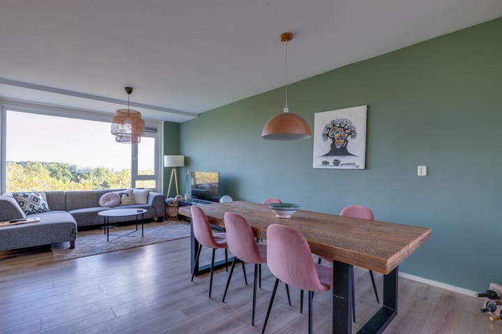 Foto 2 van Livingstonelaan 852