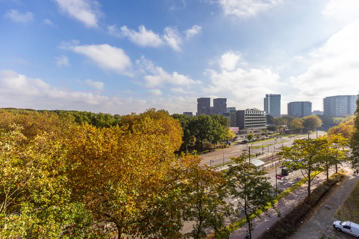 Foto 19 van Livingstonelaan 852