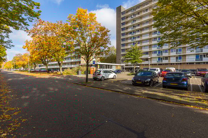 Foto 24 van Livingstonelaan 852