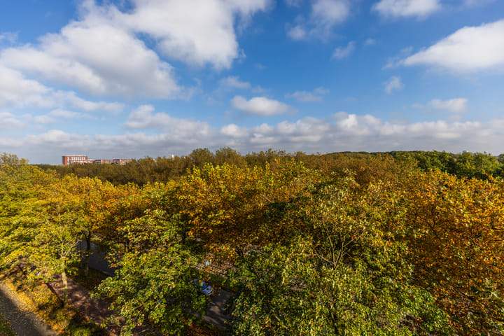 Foto 25 van Livingstonelaan 852