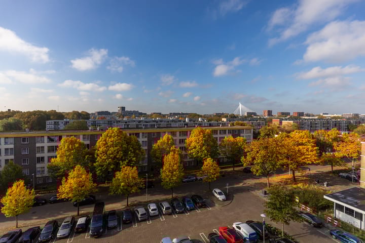 Foto 26 van Livingstonelaan 852