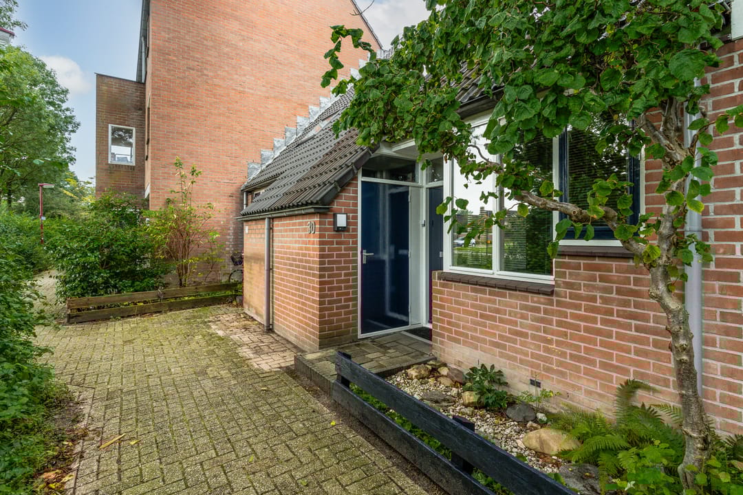 Foto 1 van Druivegaarde 30