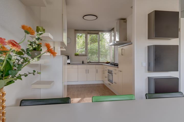 Foto 8 van Druivegaarde 30