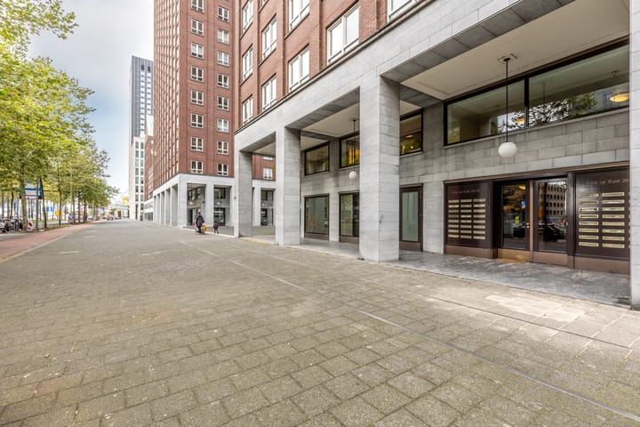 Foto 4 van Laan op Zuid 264