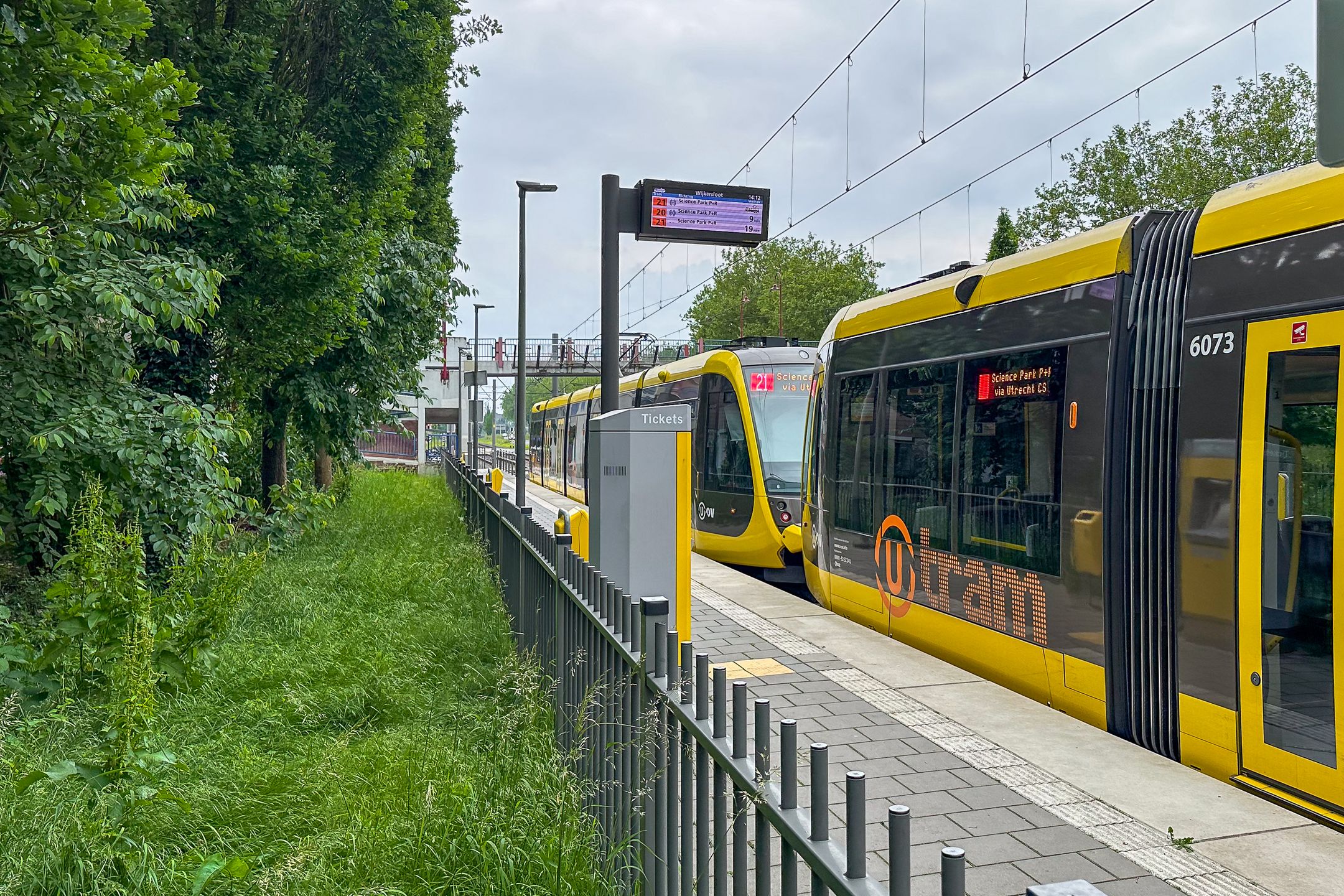 Foto 36 van Druivegaarde 30