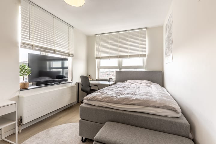 Foto 20 van Laan op Zuid 264