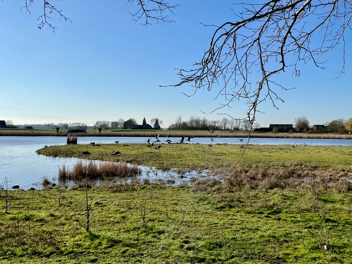 Foto 24 van Zuidwal 14