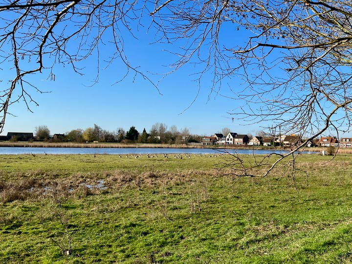 Foto 25 van Zuidwal 14