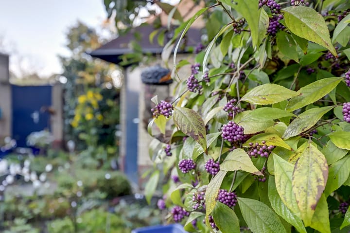 Foto 44 van Smederijstraat 24