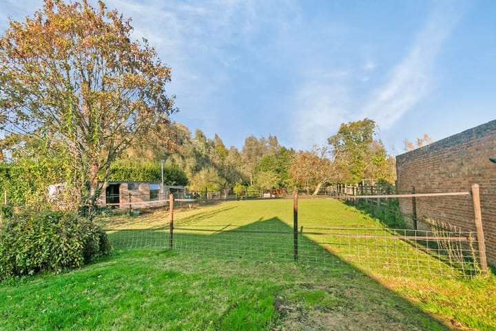 Foto 18 van Waterpoortstraat 2