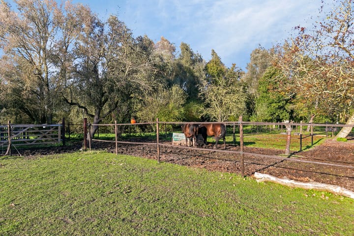 Foto 21 van Waterpoortstraat 2