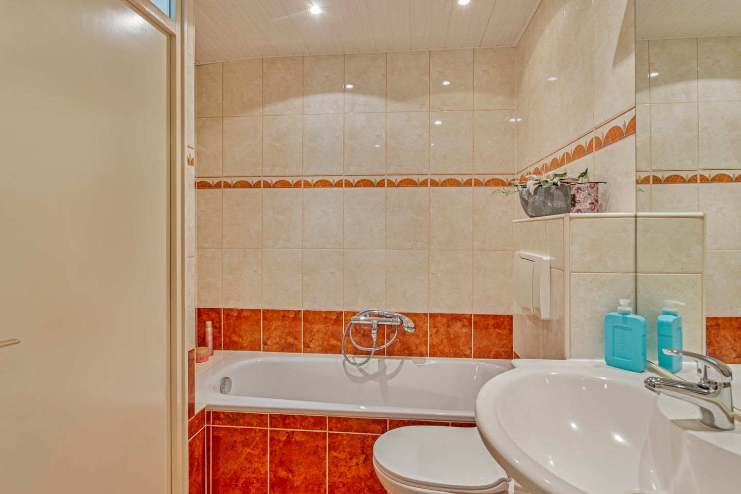 Foto 20 van Hanenberglanden 178