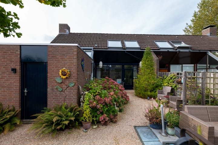 Foto 1 van de Iep 11