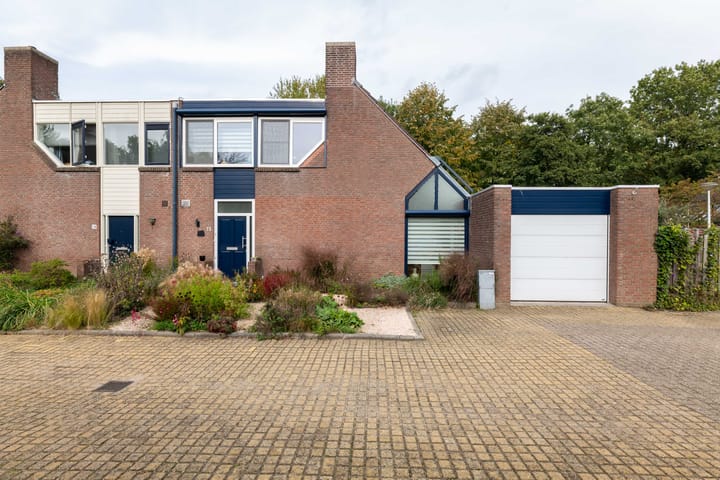 Foto 6 van de Iep 11