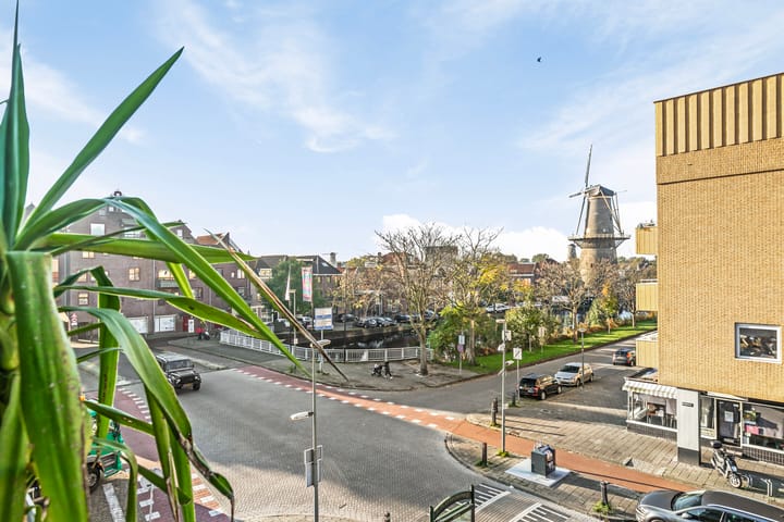 Foto 11 van Parkweg 293