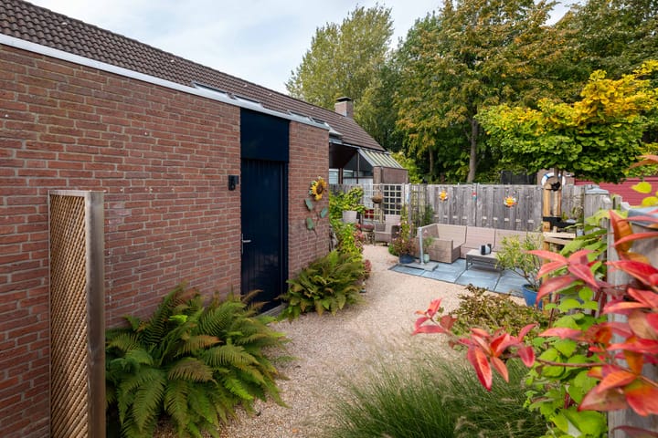 Foto 31 van de Iep 11