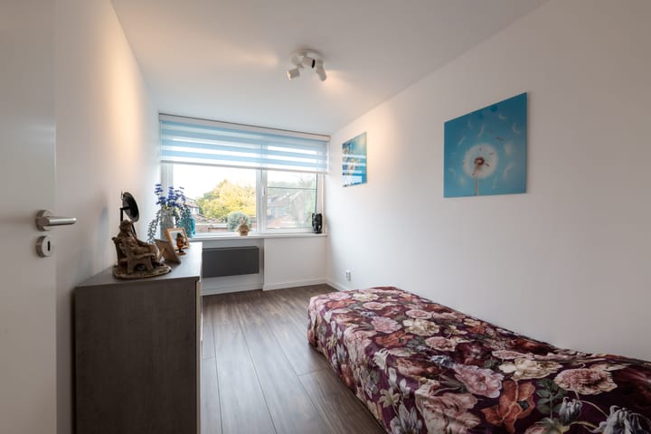 Foto 39 van de Iep 11