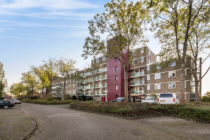 Foto 7 van Getijstroom 50