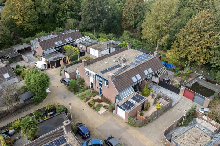 Foto 51 van de Iep 11