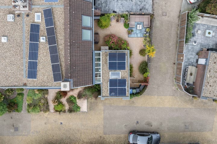 Foto 52 van de Iep 11