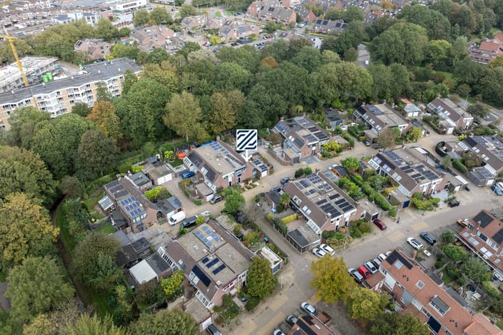 Foto 53 van de Iep 11