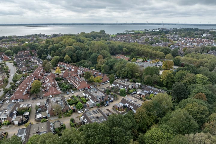 Foto 54 van de Iep 11