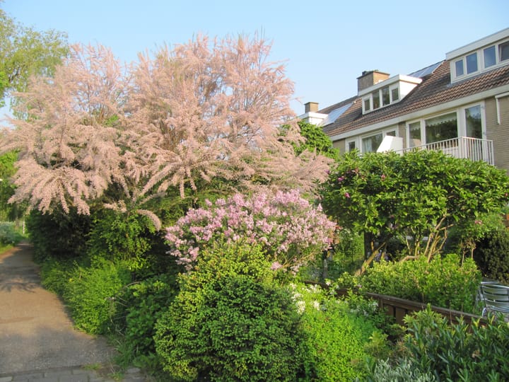 Foto 28 van Rogaland 7