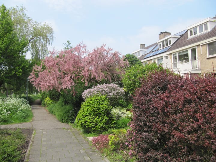 Foto 29 van Rogaland 7