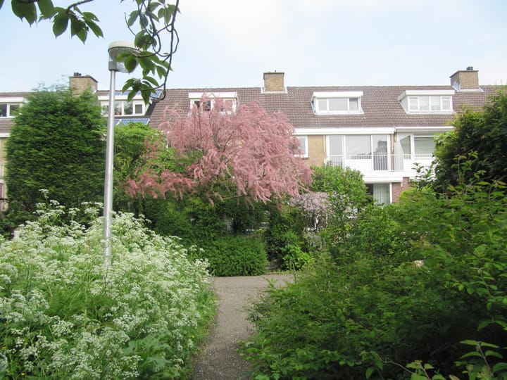 Foto 30 van Rogaland 7