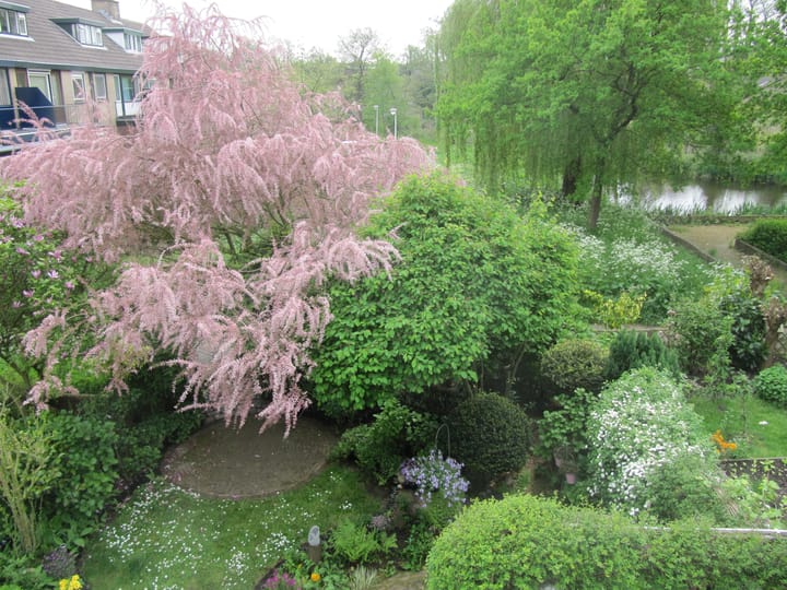 Foto 31 van Rogaland 7