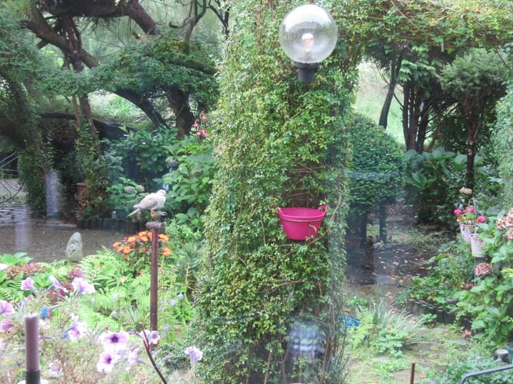 Foto 34 van Rogaland 7