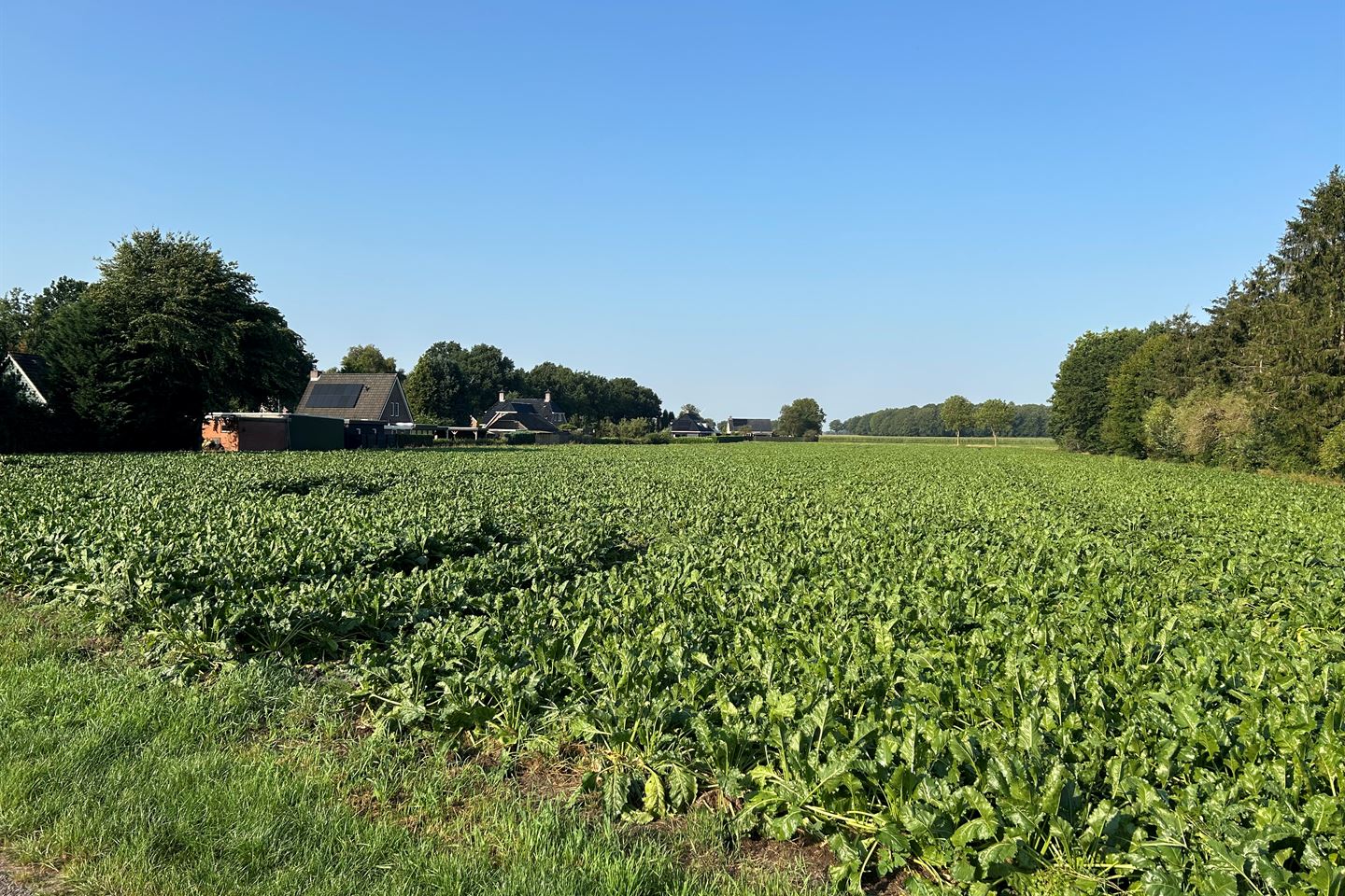 Bekijk foto 2 van St. Vitusholt 4e laan