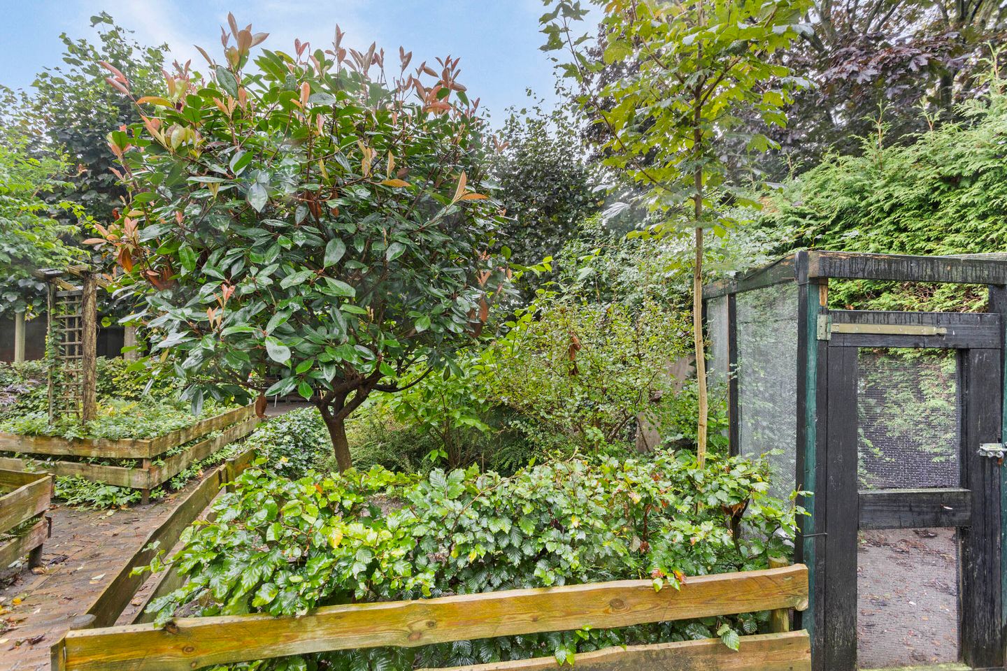 Foto 40 van Ussenstraat 18