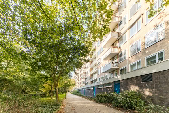 Photo 5 of Van Nijenrodeweg 445