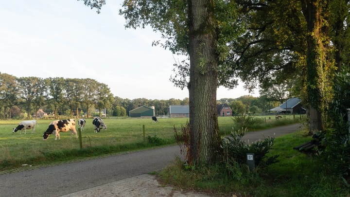 Photo 4 of Vrugteveensweg 5-A