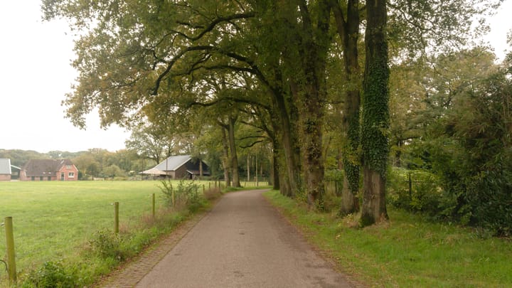 Photo 11 of Vrugteveensweg 5-A