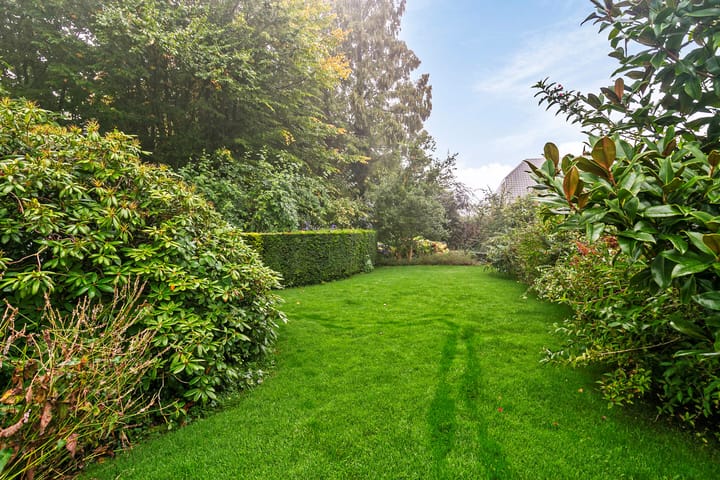 Foto 50 van Blauwe Hoek 58-A