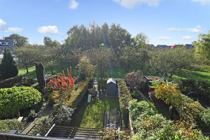 Bekijk foto 4 van Hollandsche Tuyn 71