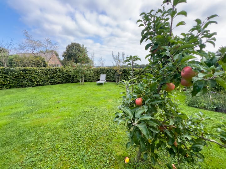 Foto 52 van Koeweg 1