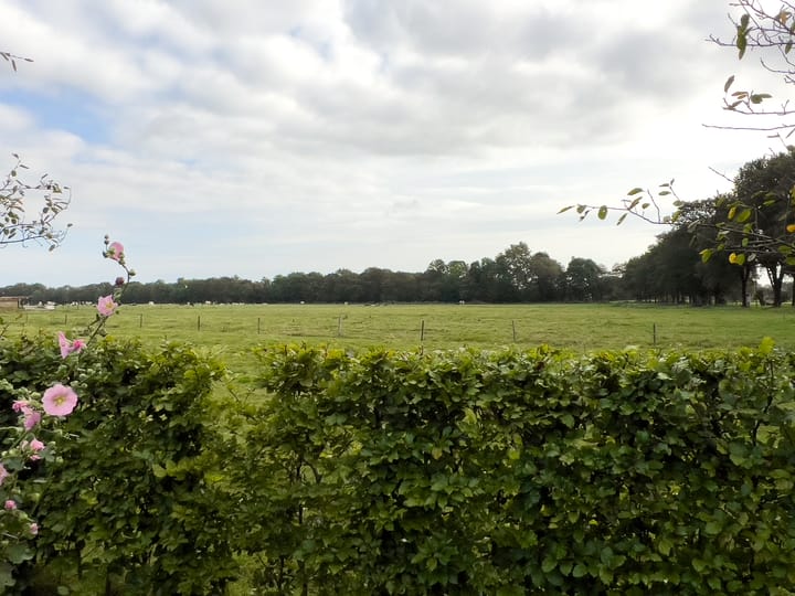 Foto 54 van Koeweg 1