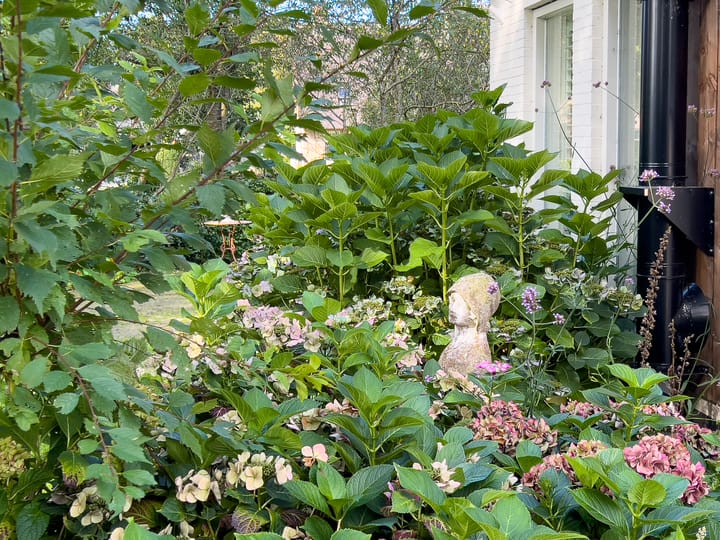 Foto 64 van Koeweg 1