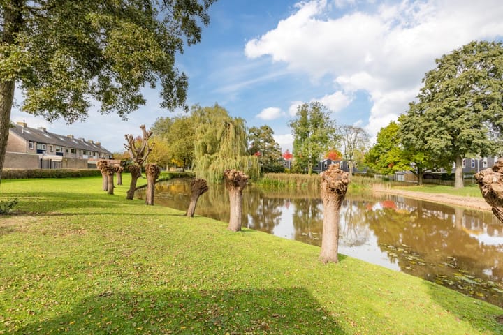 Foto 3 van Omloop 60