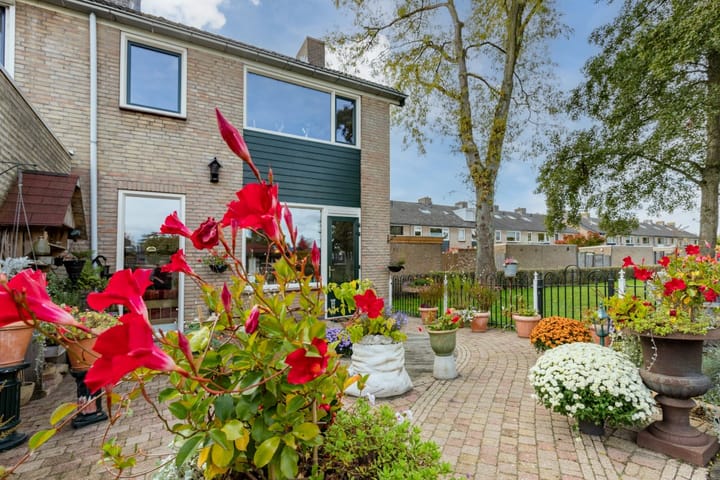 Foto 34 van Omloop 60