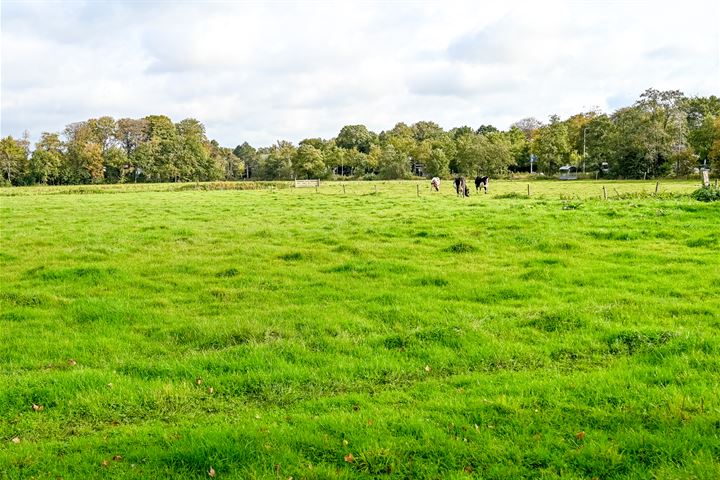 Bekijk foto 44 van Dinkellaan 33