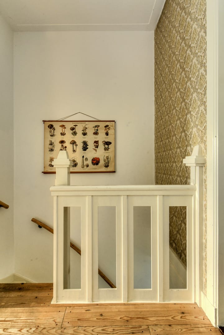 Foto 32 van Minister Kanstraat 6