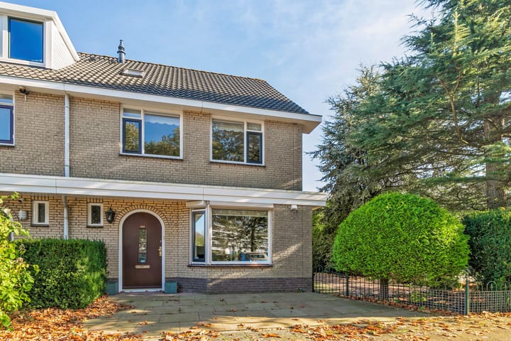 Photo 1 of Bizetstraat 39