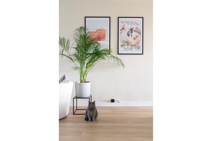 Foto 10 van Schieweg 52-C