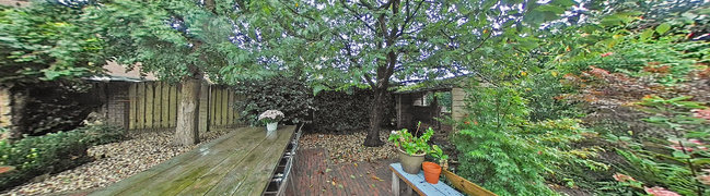 foto8