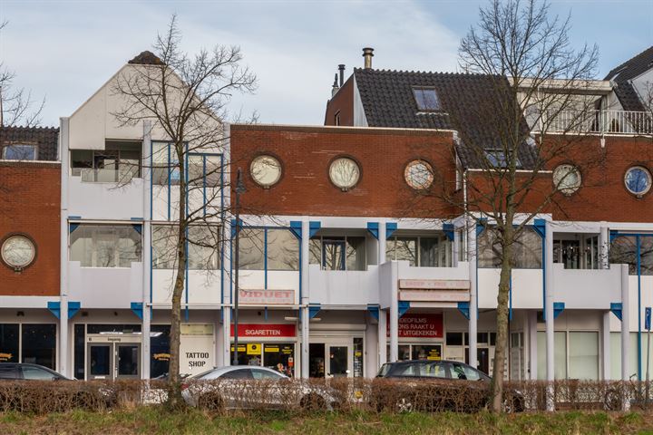 Bekijk foto 38 van Beenhouwerssingel 13